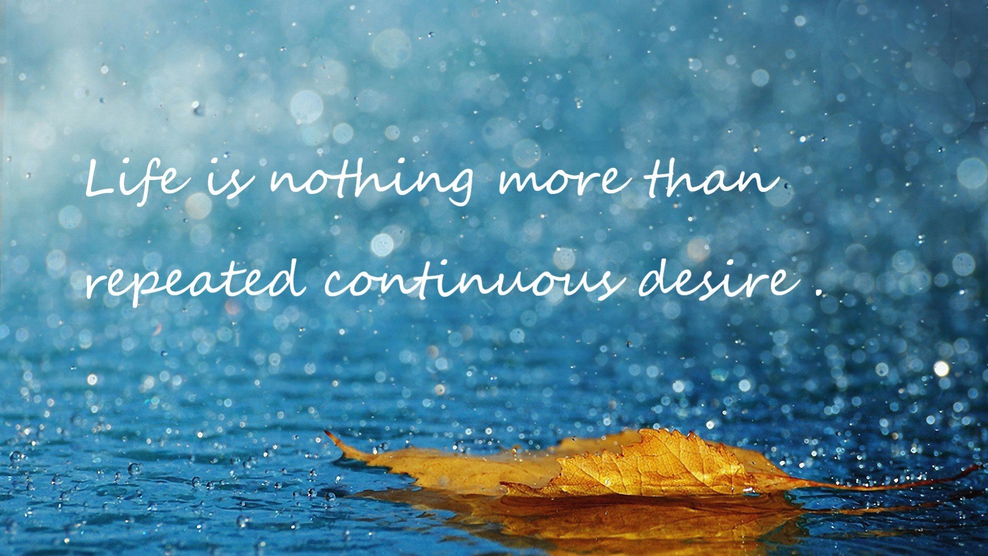 跨越边界的弧线,美加墨世界杯之夜,库里如何用篮球定义新大陆