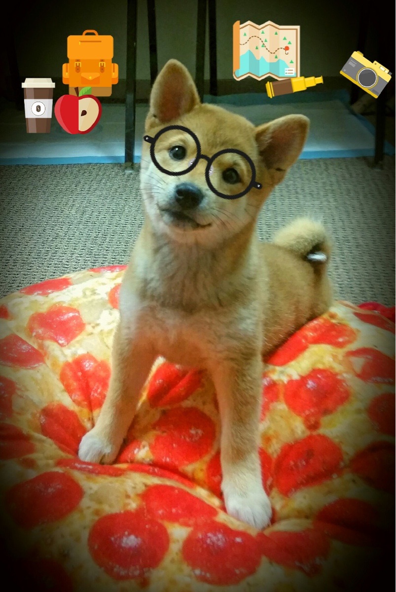 阿森纳强势晋级，斯通斯关键先生光芒难掩失利之痛