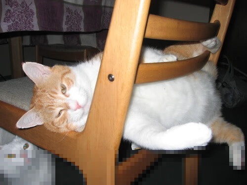 英格拉姆，用连续得分撕裂防守，上海队凭铁血锁链制霸公牛