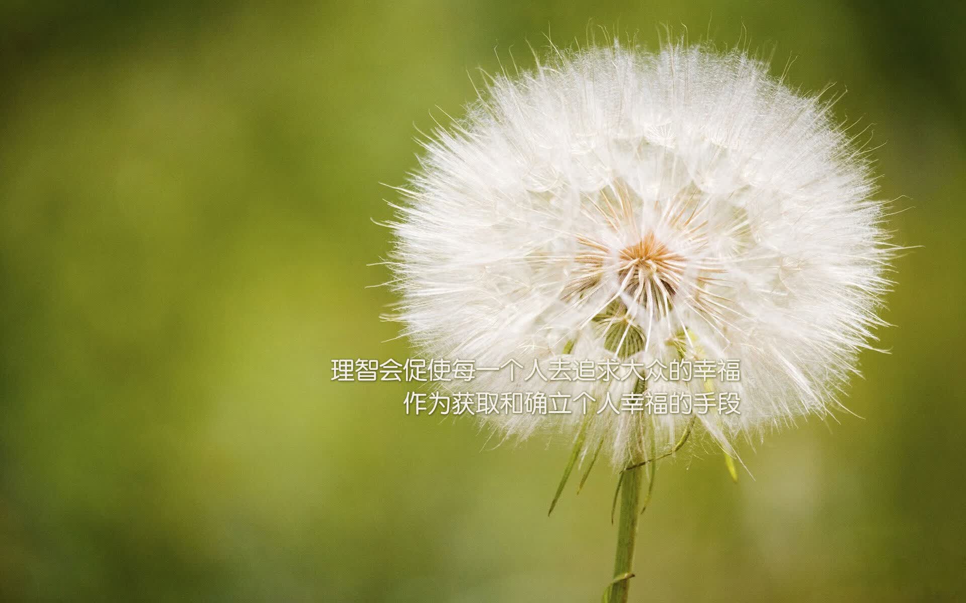 迪亚斯一锤定音，伊朗顽强逼平匈牙利，2026世界杯C组格局再生变数